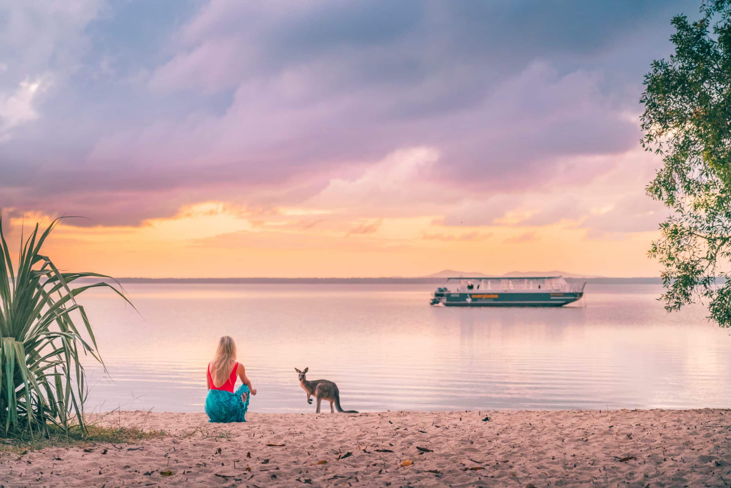 Lake Cootharaba And Kangaroos